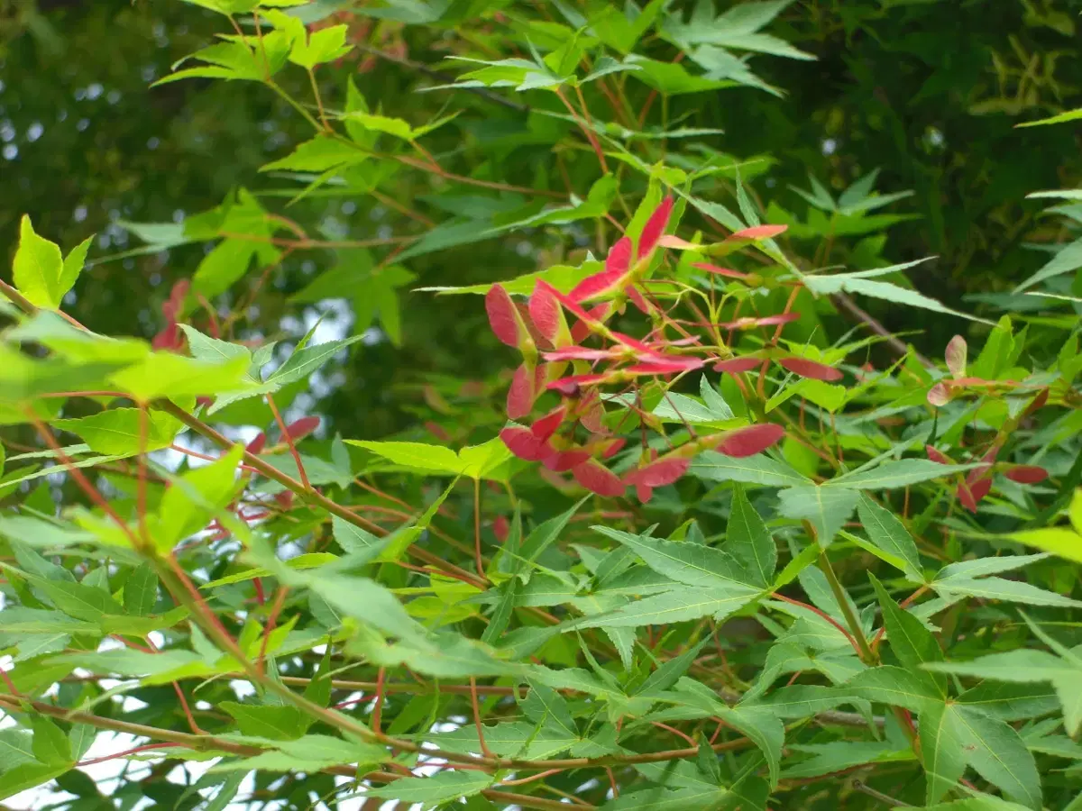thumbnail-8